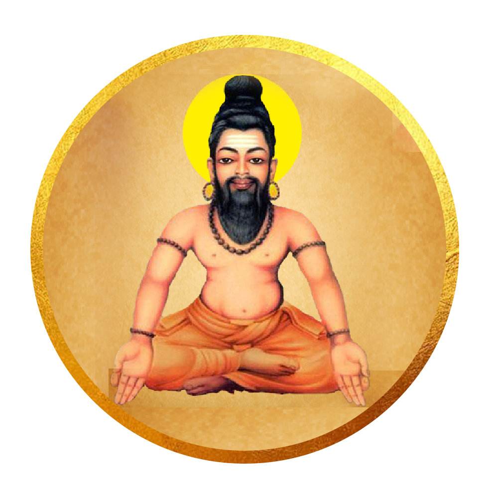 Mahavatar Babaji Homam