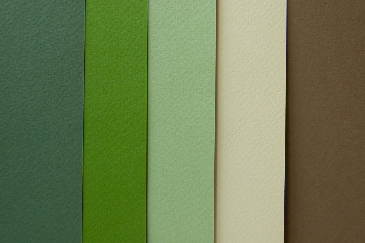 A palette of of green and neutral toned swatches.