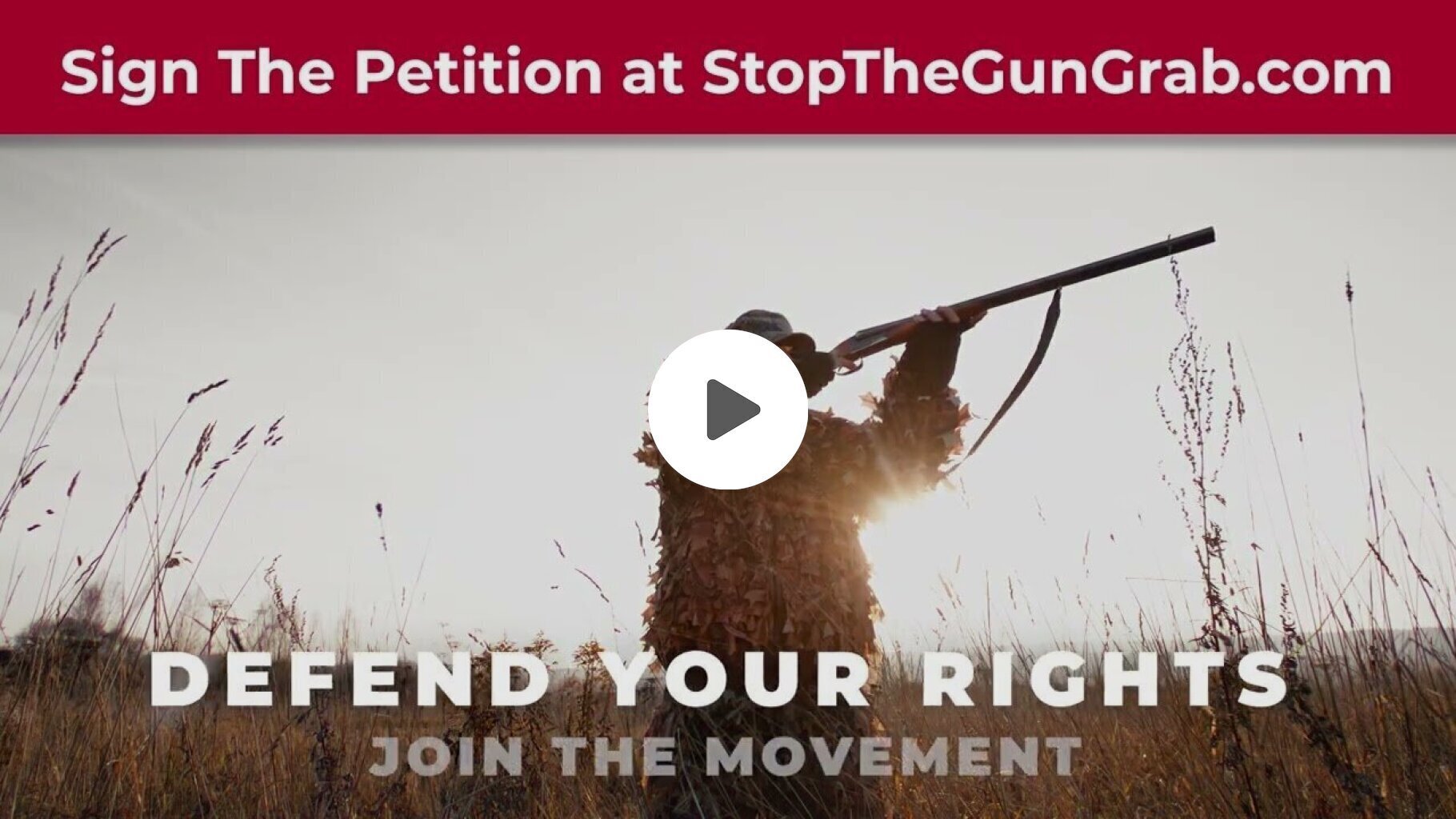 Stop The Gun Grab Video Thumbnail